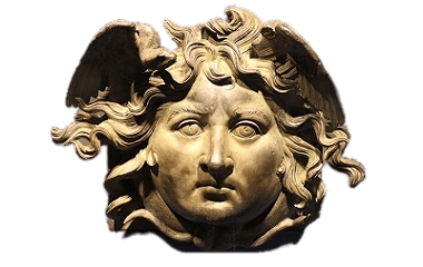 Medusa Head
