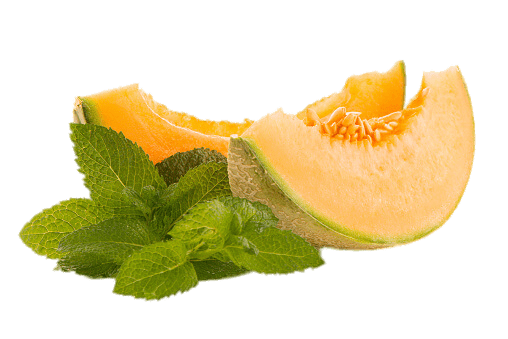 Honeydew Melon Slices