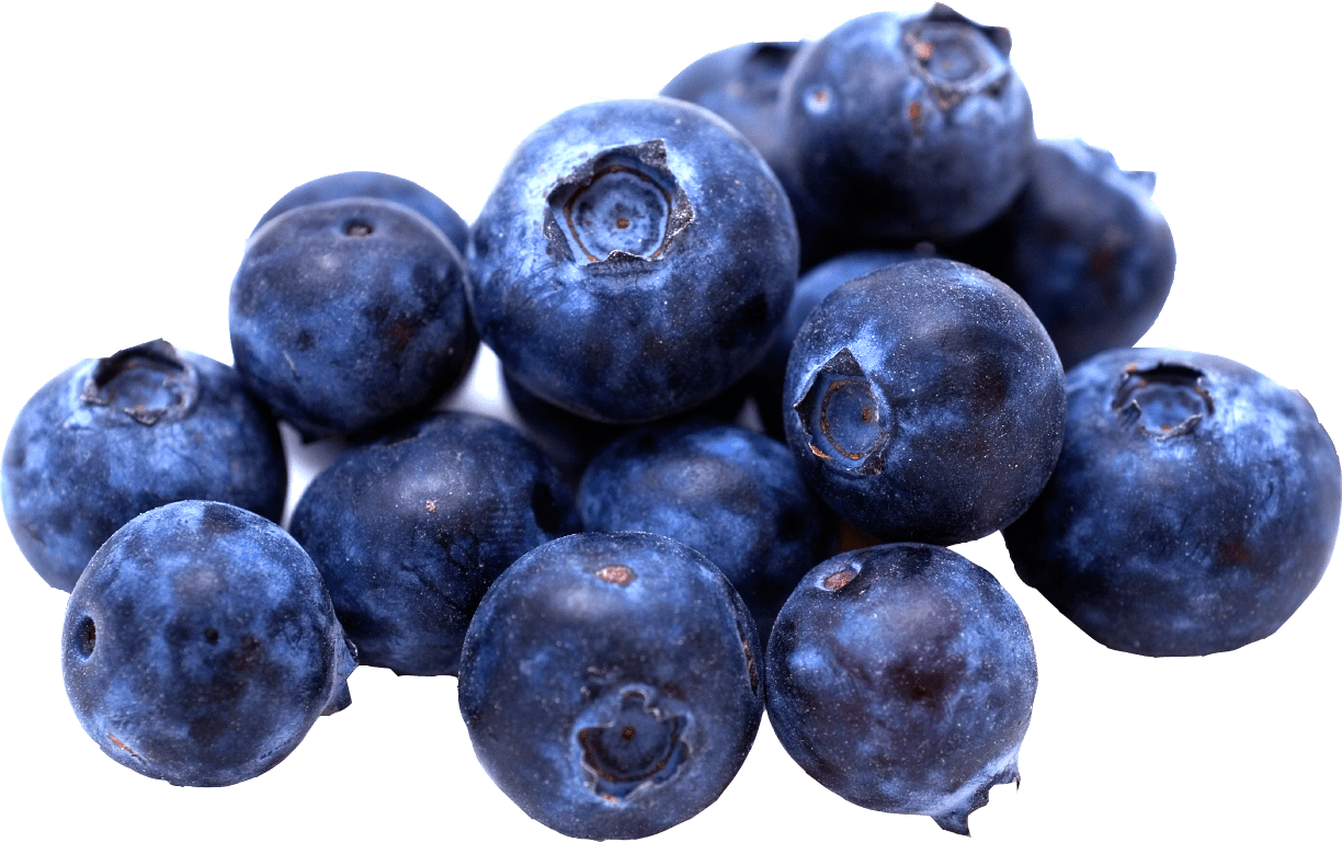 Group Of Blueberries