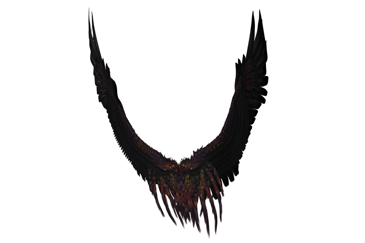 Long Black and Purple Wings