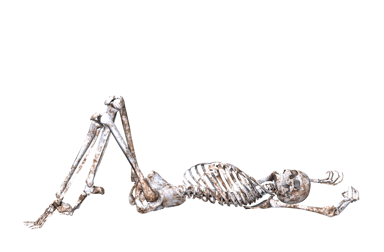 Skeleton Lying on Back