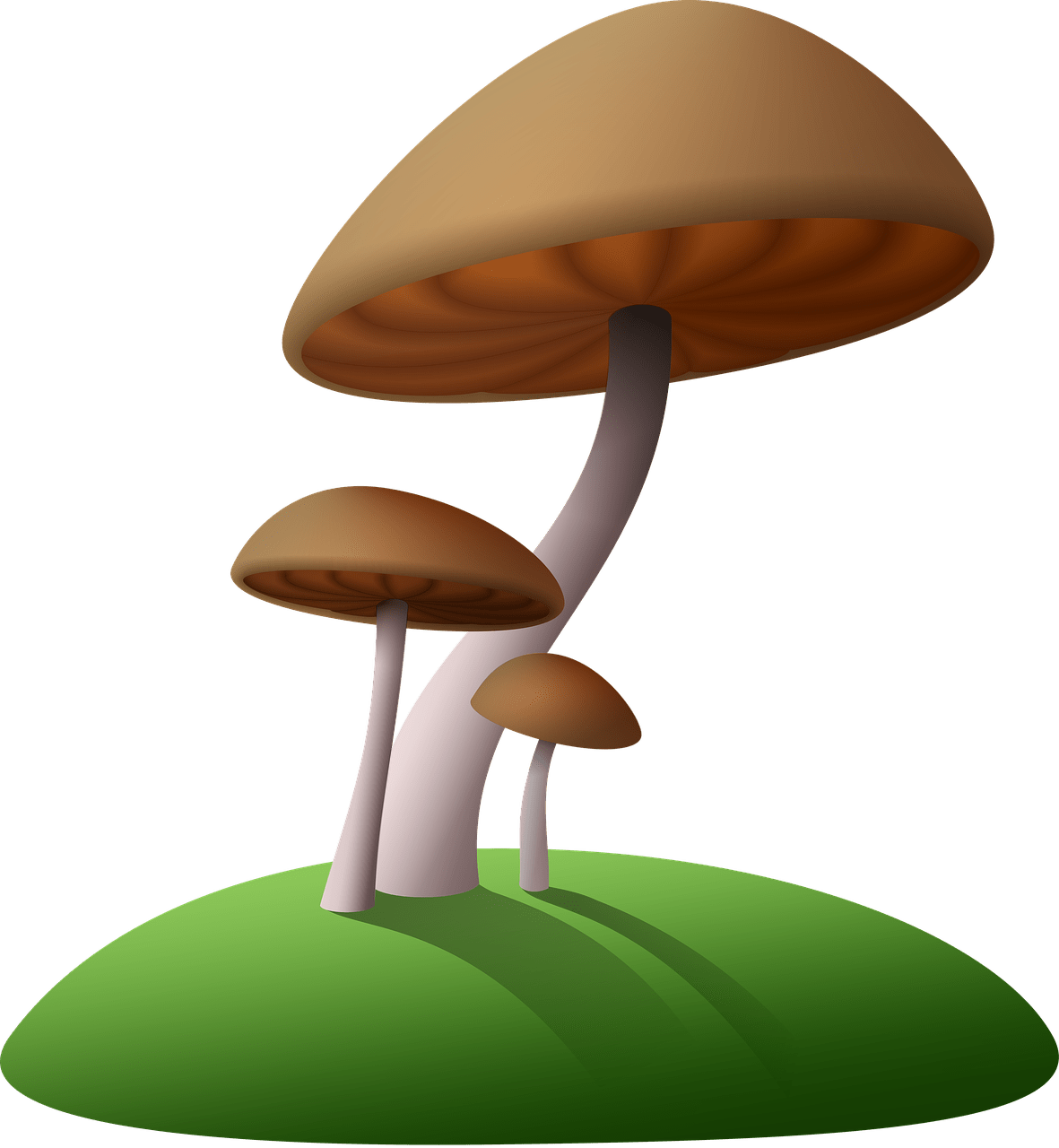 Mushrooms Brown Clipart