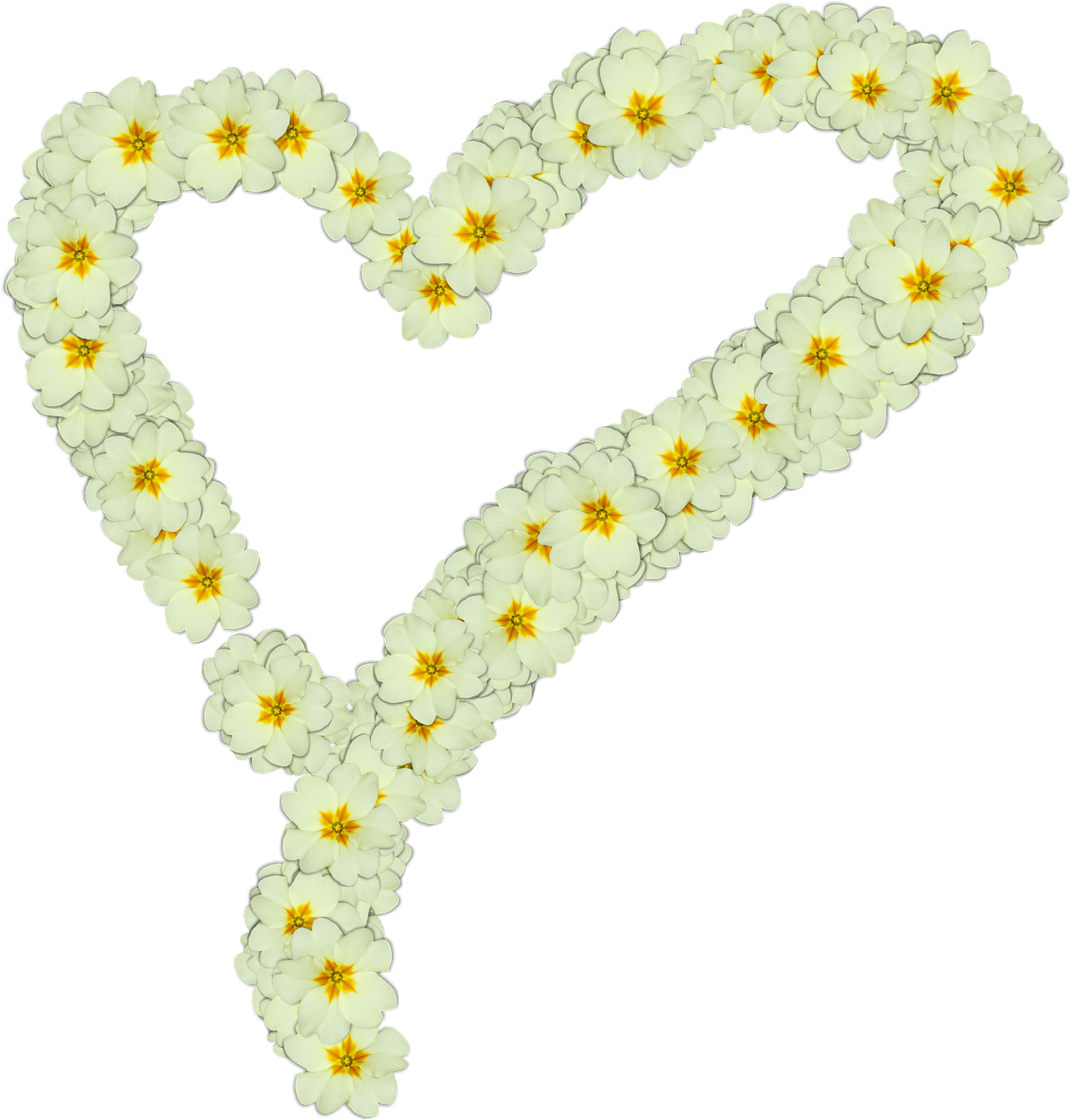 Heart Made Of White Flowers