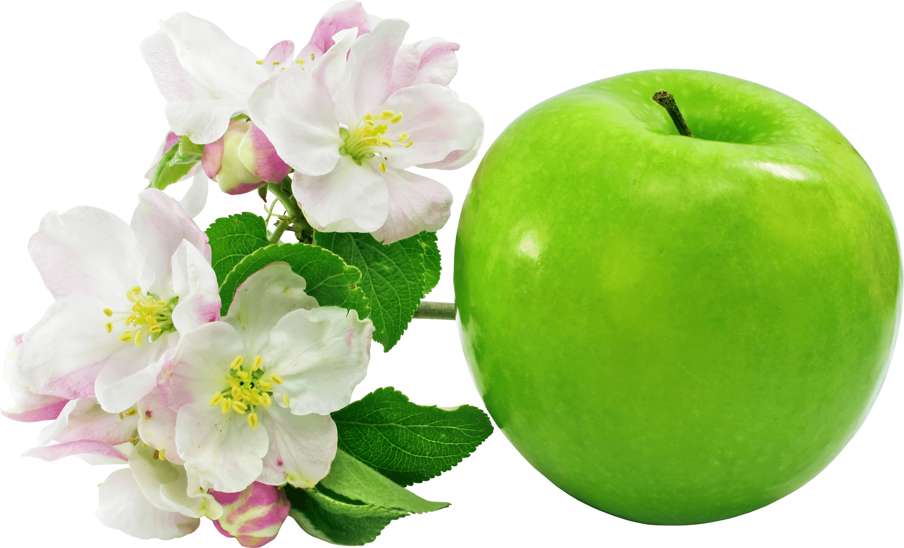 Apple Green Flowers