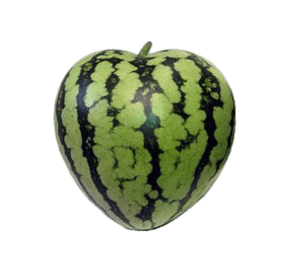 Heart Shaped Watermelon