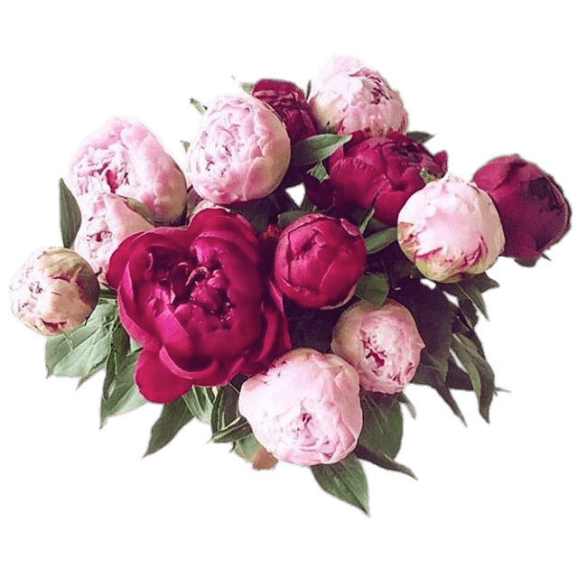 Bouquet Of Peonies