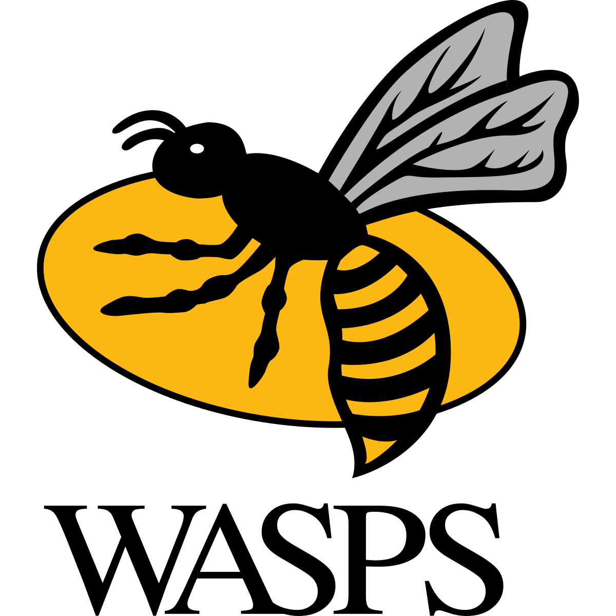 Wasps Rugby 