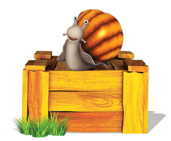 Snail on A Wooden Box
