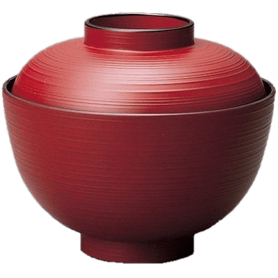 Japanese Soup and Rice Bowl