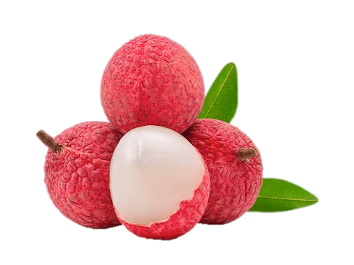 Lychee