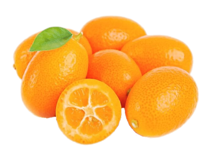 Fresh Kumquat