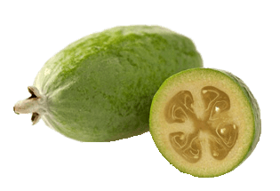 Feijoa