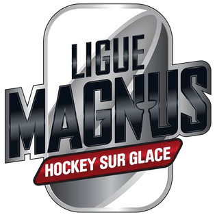 Ligue Magnus 