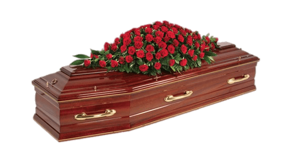 Mahogany Coffin Covered With Roses