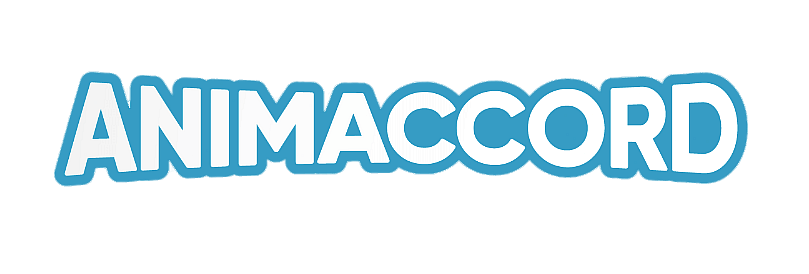 Animaccord 