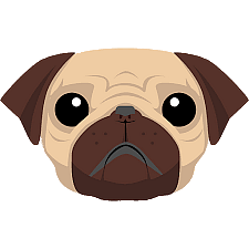 Pug mascot 
