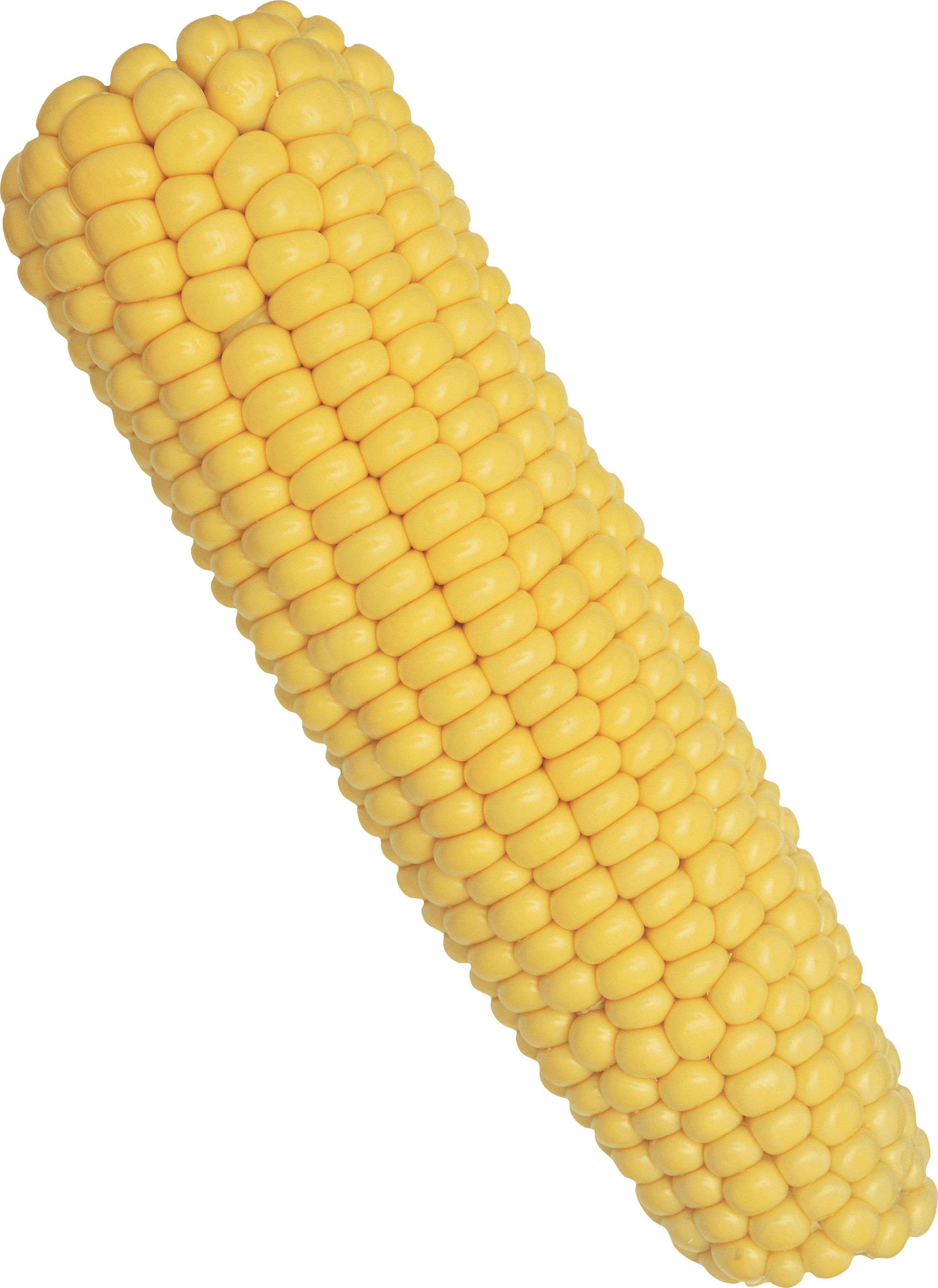 Corn Solo