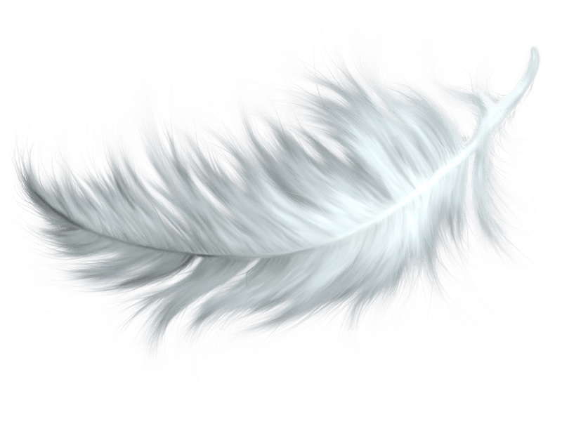 White Feather