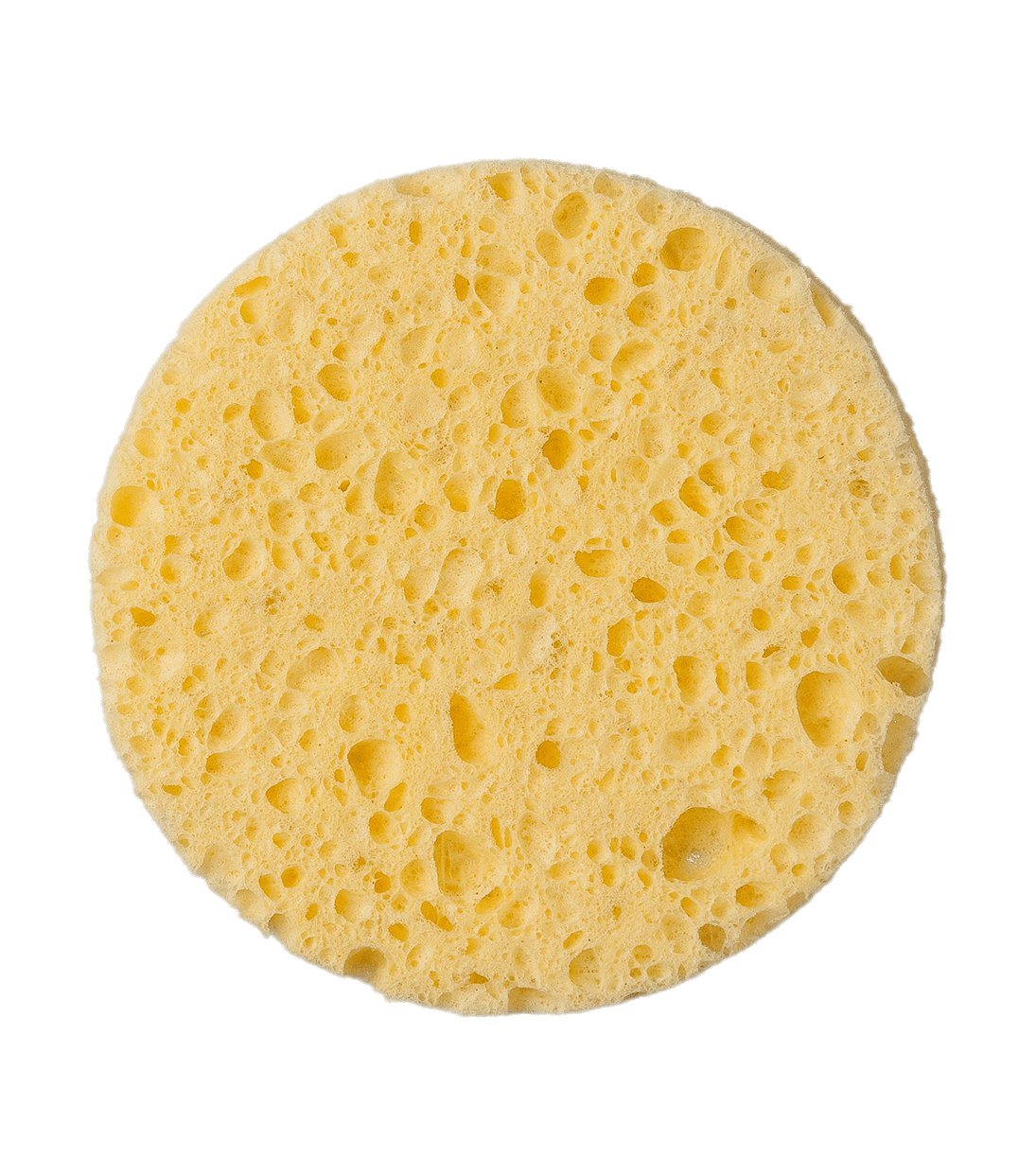 Round Sponge