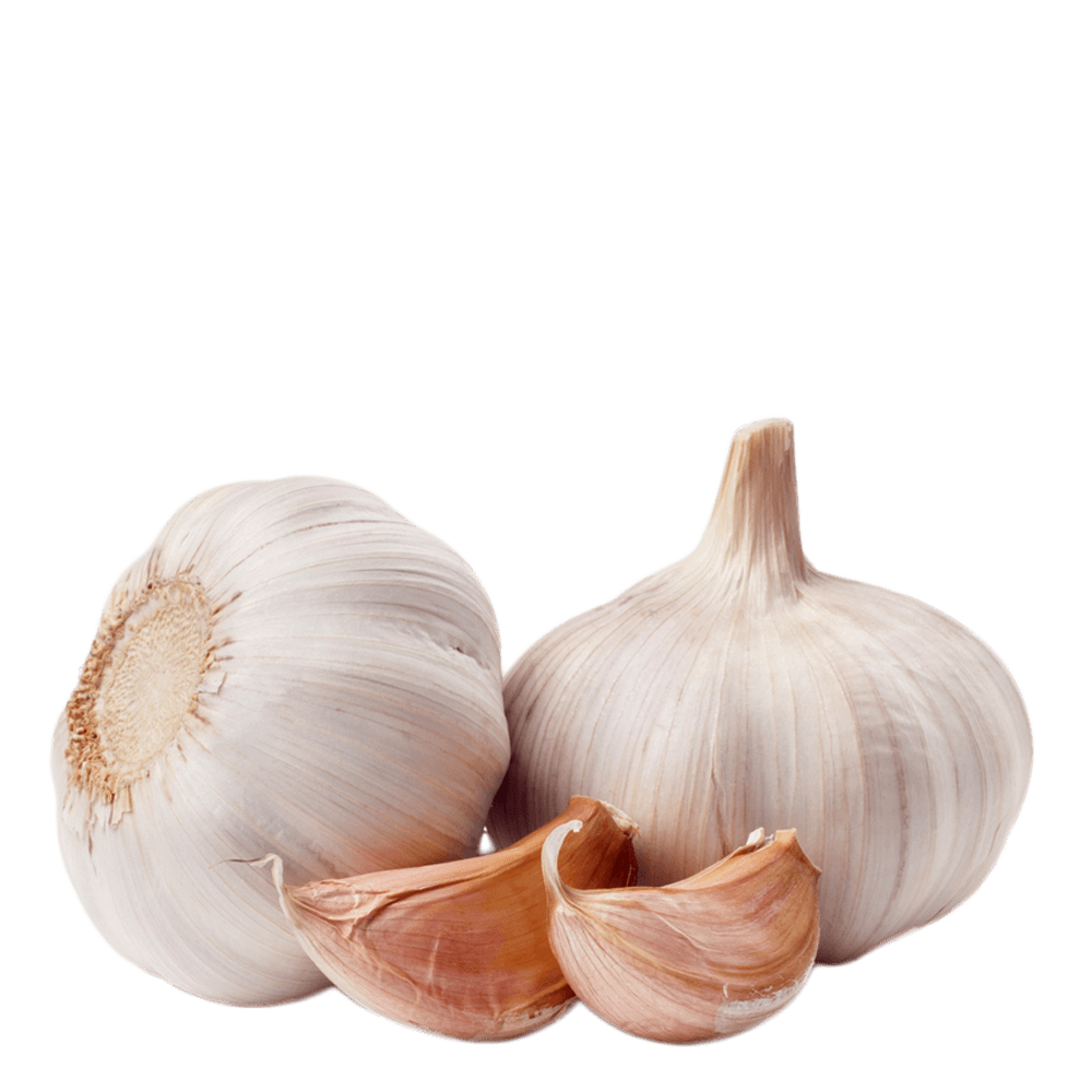 Garlic Duo
