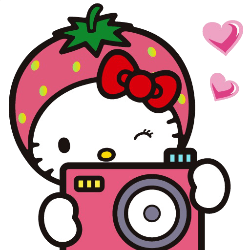 Hello Kitty Photo Camera