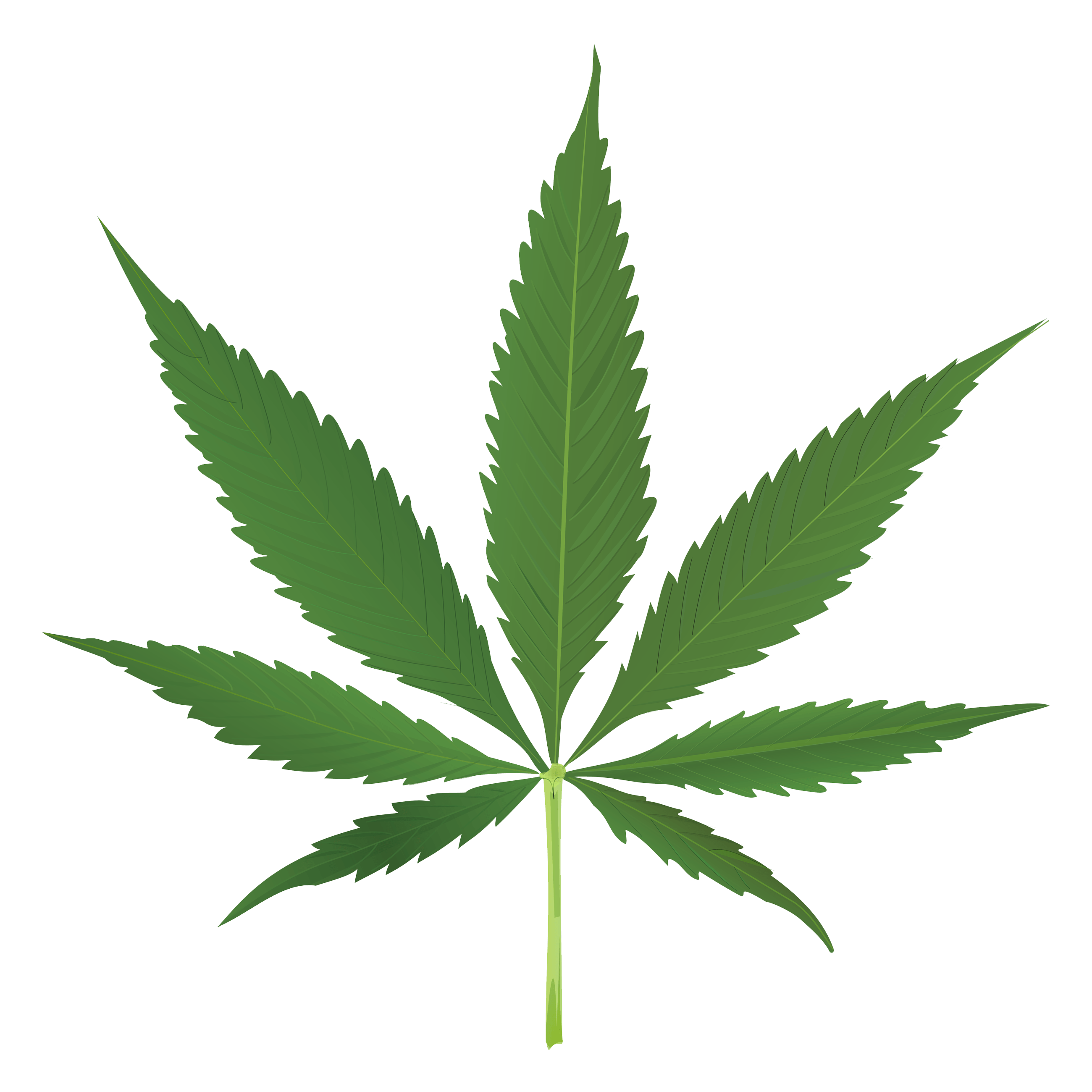Thug Life Weed Leaf